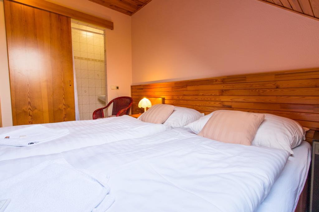 Orlík Rejvíz Hotel Habitación foto